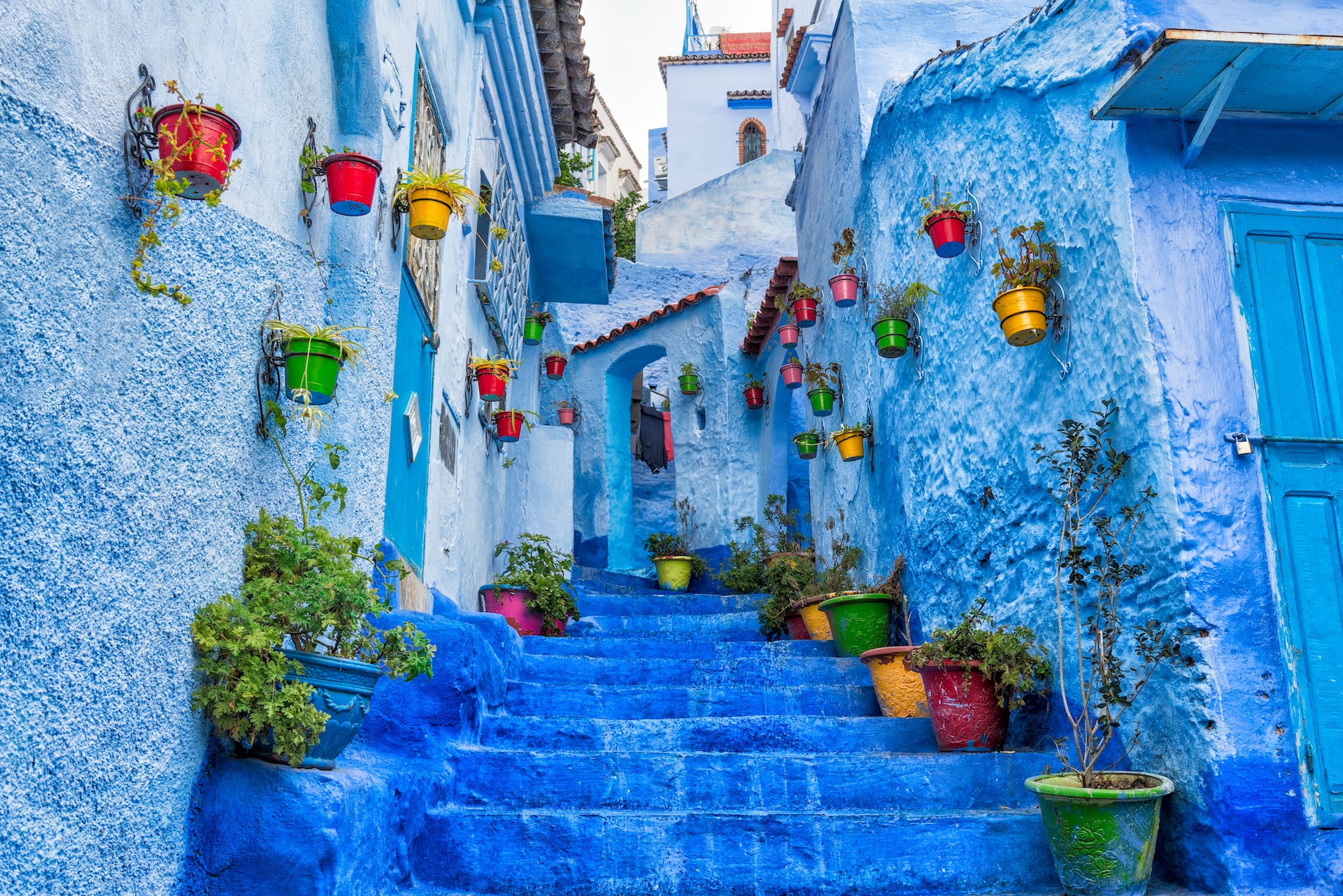 درج أزرقٌ في شفشاون المغرب، على أطرافه وعلى الجدران نباتات صغيرة